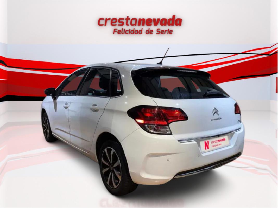 CITROEN C4 PureTech 81KW 110CV Tonic