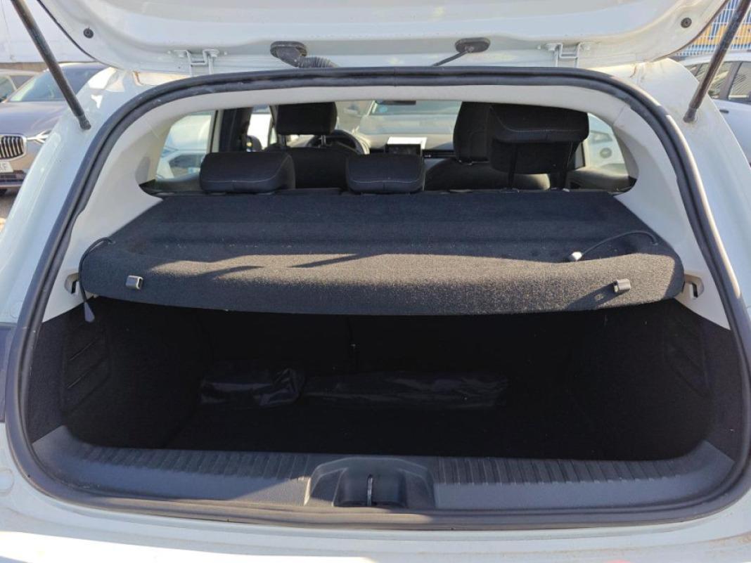 Renault Clio Business TCe 74 kW 100CV GLP