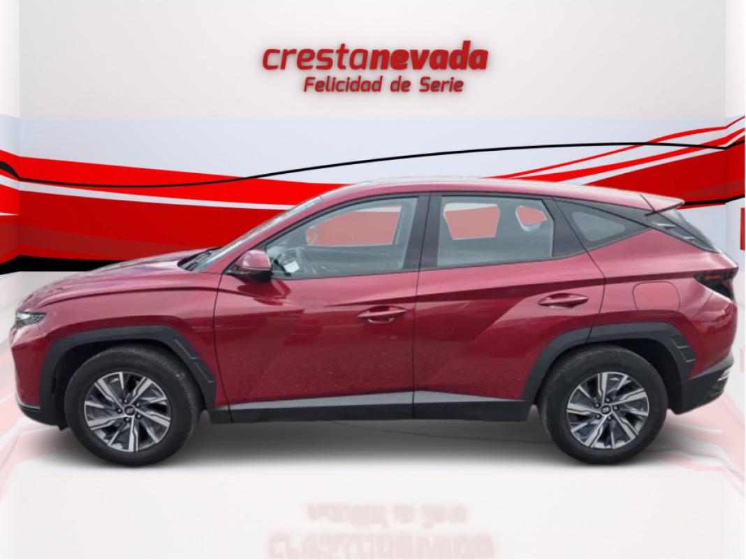 Hyundai Tucson 1.6 TGDI 110kW 150CV 48V Maxx