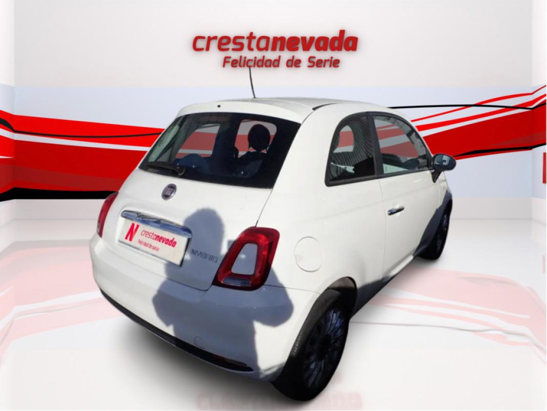 Fiat 500 Cult 1.0 Hybrid 52KW 70 CV