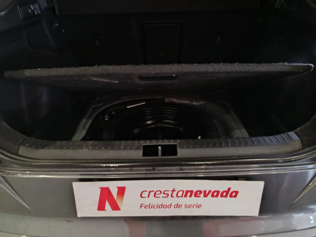 cupra Formentor 1.5 TSI 110kW 150 CV DSG