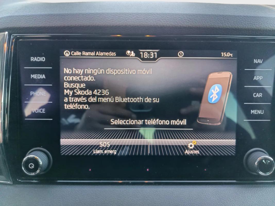 Skoda Karoq 2.0 TDI 110kW 150CV DSG 4X4 Ambition