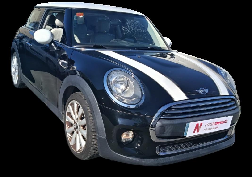 Mini Mini One