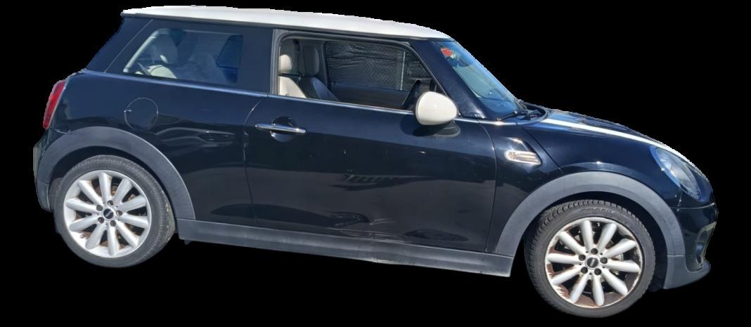 Mini Mini One