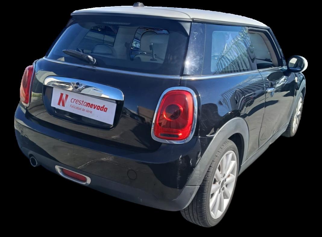 Mini Mini One