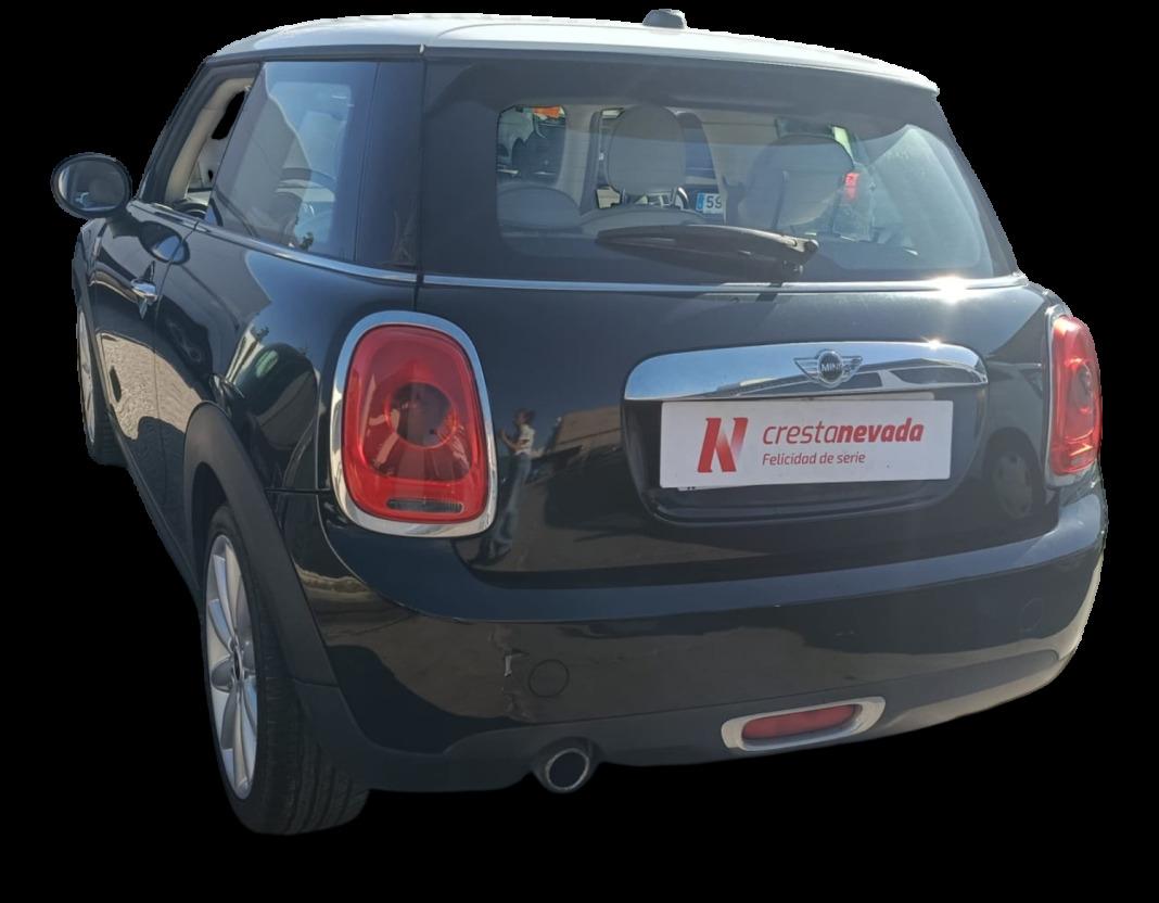 Mini Mini One