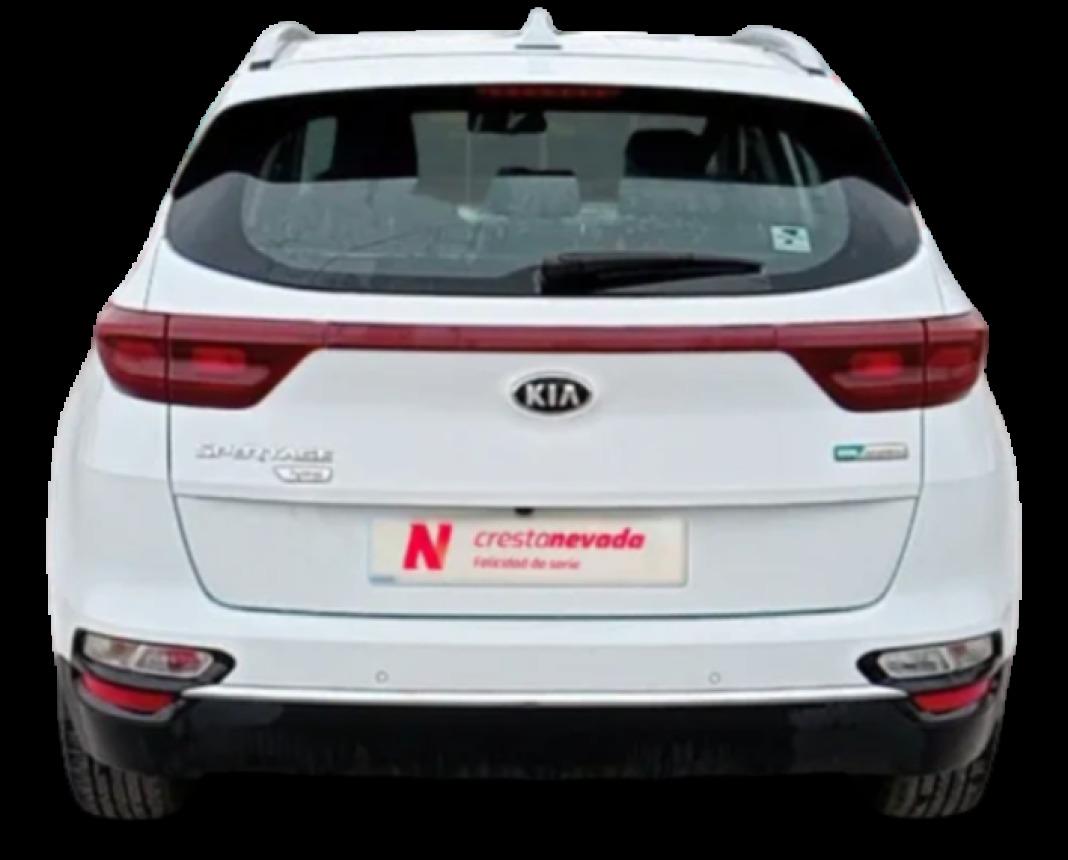 Kia Sportage 1.6 MHEV Business 100kW 136CV 4x4