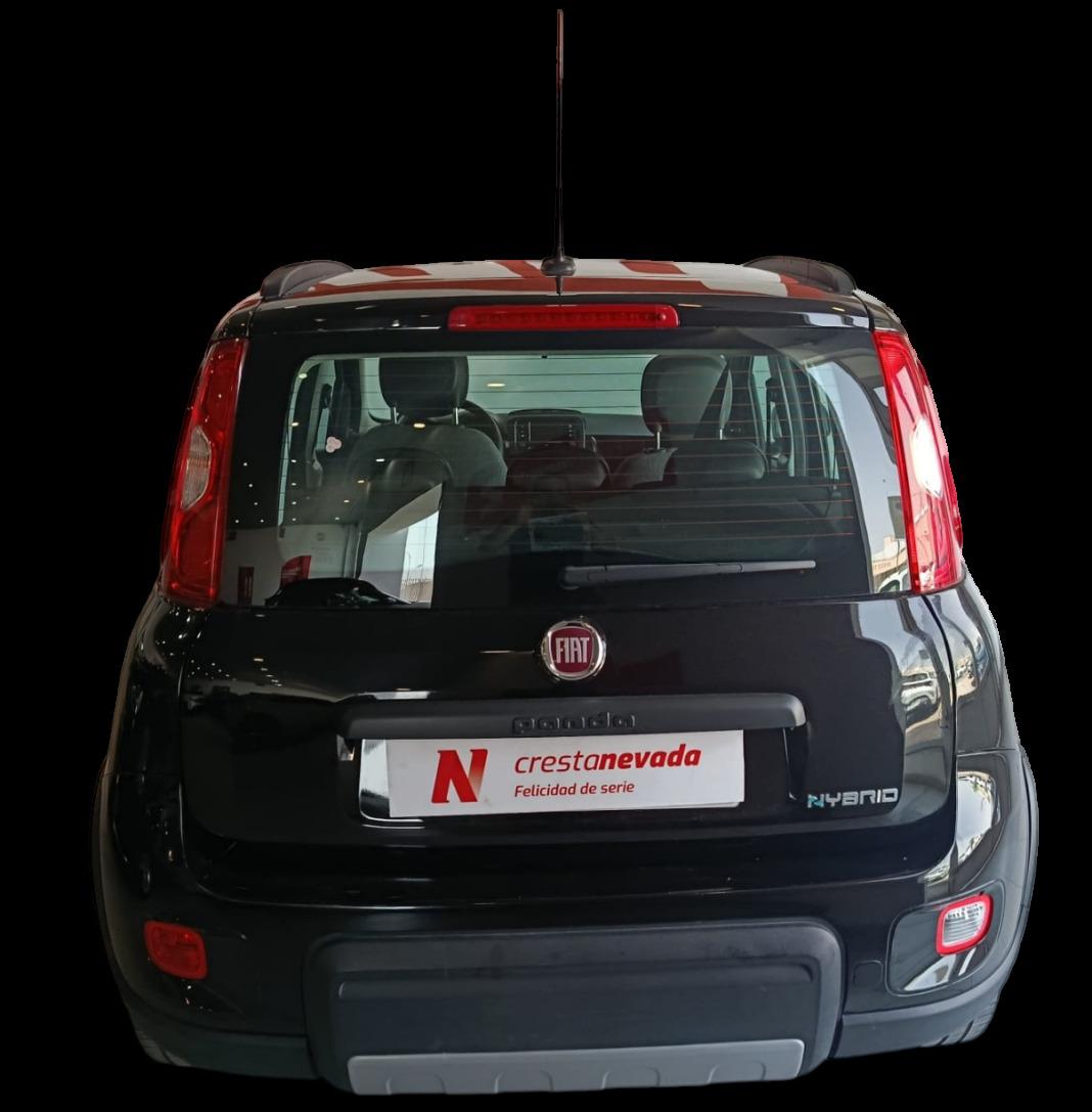 Fiat Panda City Life Hybrid 1.0 Gse 51kw 70CV