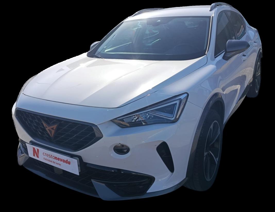 cupra Formentor 1.5 TSI 110kW 150 CV DSG