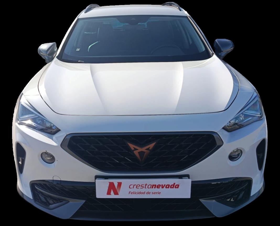 cupra Formentor 1.5 TSI 110kW 150 CV DSG