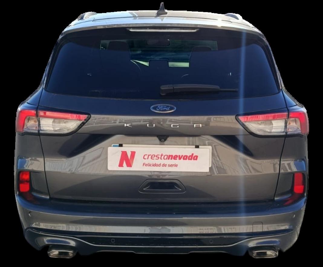 Ford Kuga STLine 1.5 EcoBlue 88kW 120CV
