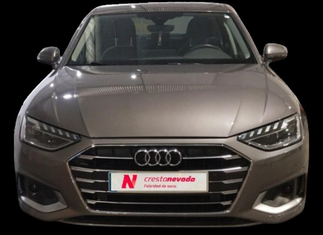 AUDI A4 Advanced 30 TDI 100kW 136CV S tronic