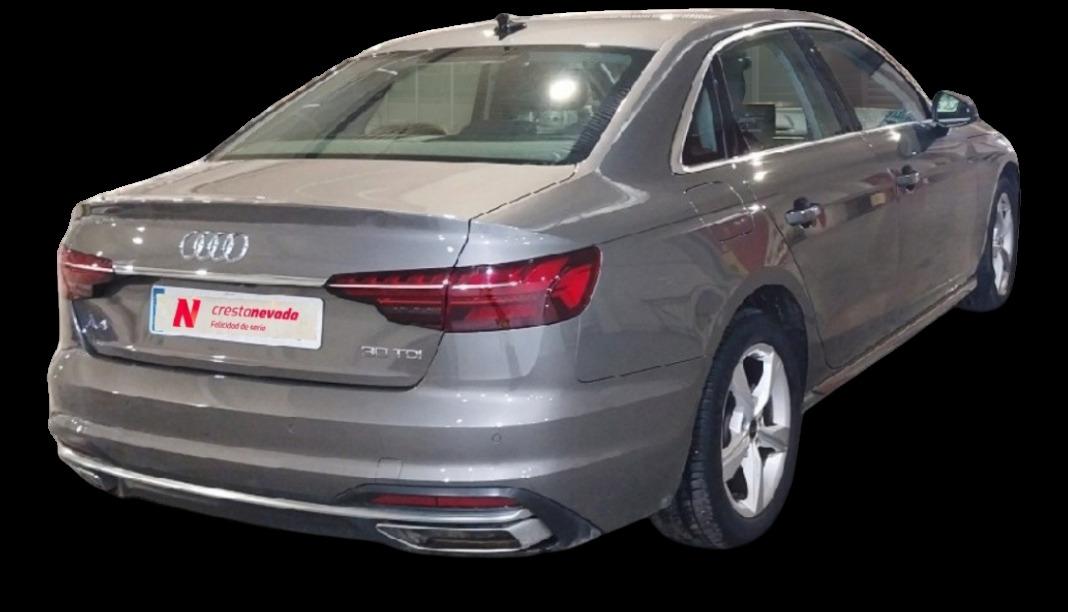 AUDI A4 Advanced 30 TDI 100kW 136CV S tronic