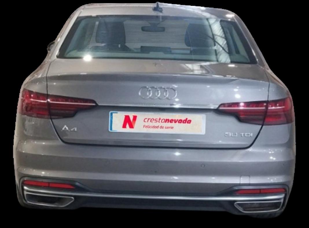AUDI A4 Advanced 30 TDI 100kW 136CV S tronic