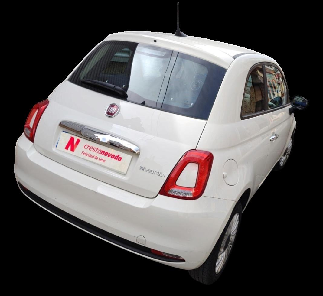 Fiat 500 Cult 1.0 Hybrid 52KW (70 CV)
