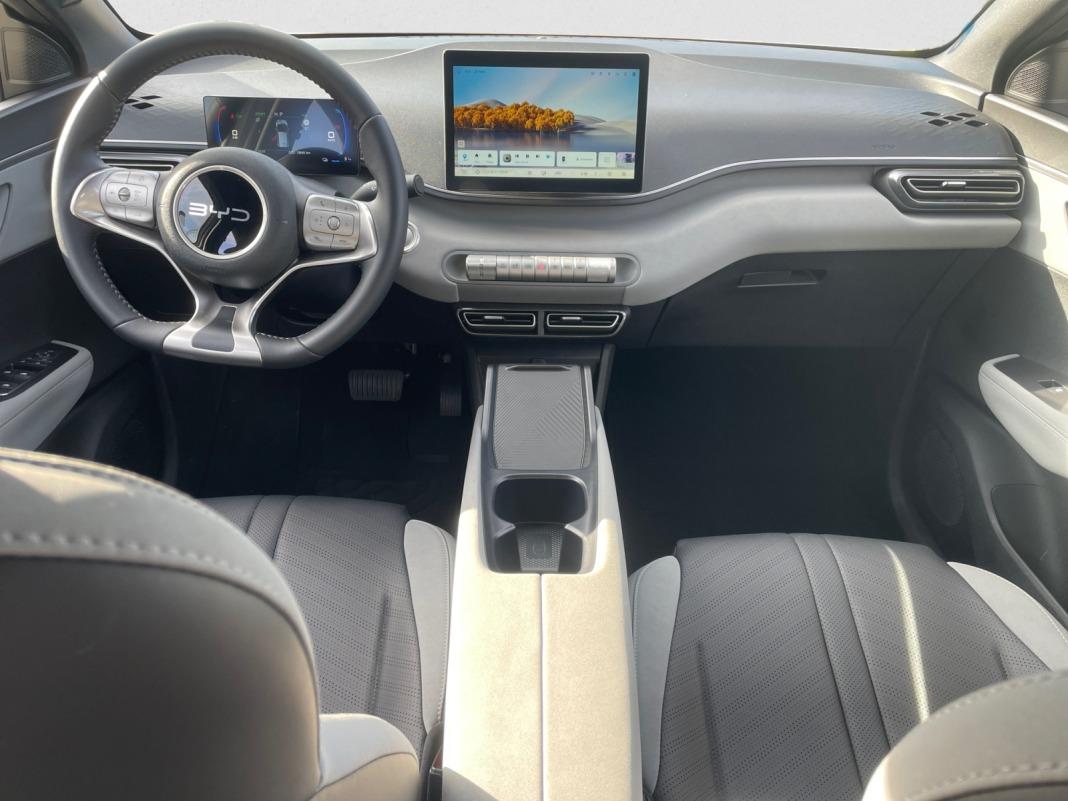 BYD Dolphin Surf Boost
