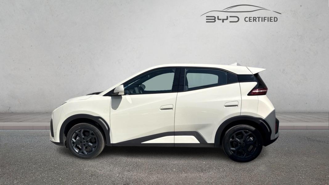 BYD Dolphin Surf Boost