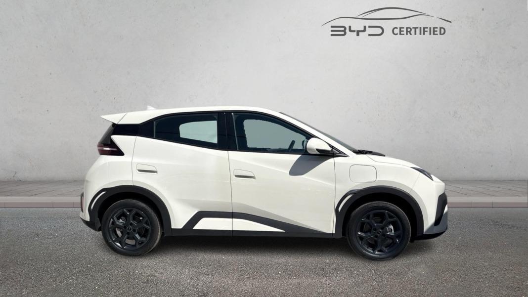 BYD Dolphin Surf Boost