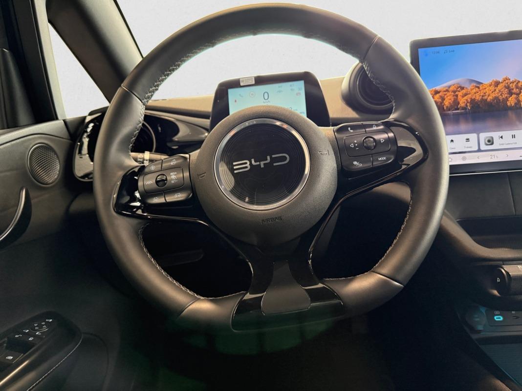 BYD Dolphin Comfort