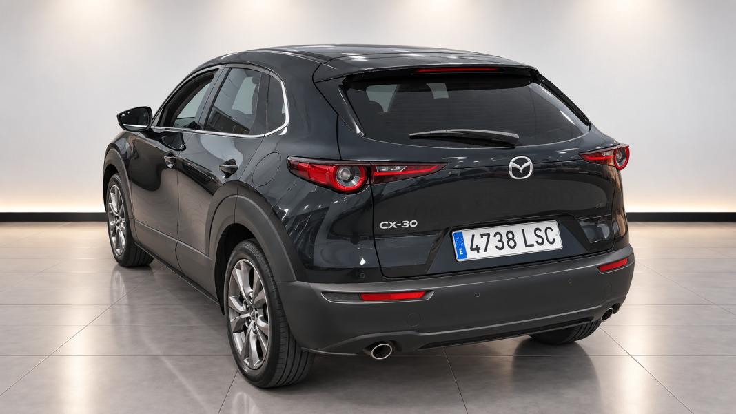 Mazda Cx-30 CX-30 2.0 E-SKYACTIV-G 90KW EVOLUTION 2WD A 122 5P