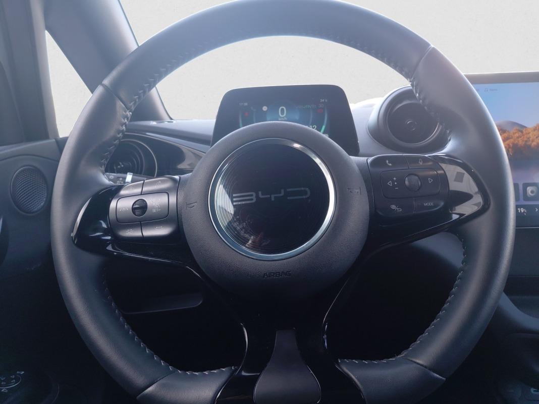 BYD Dolphin Comfort
