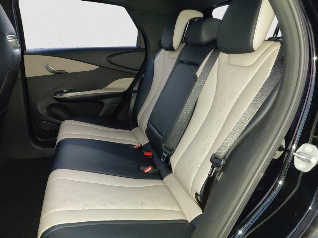 BYD Dolphin Comfort