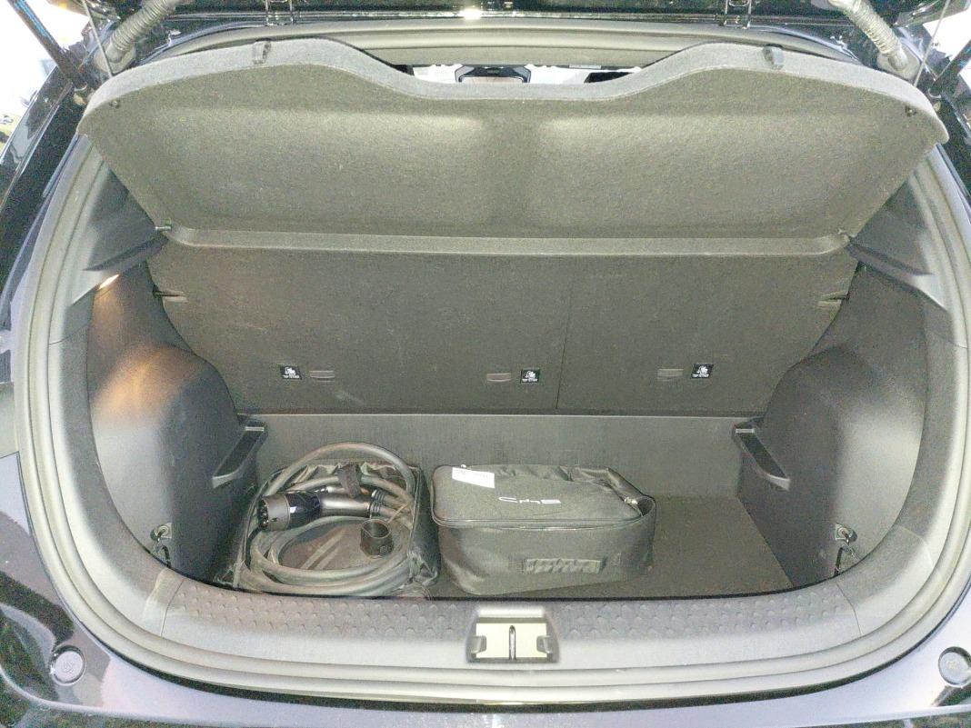 BYD Dolphin Comfort