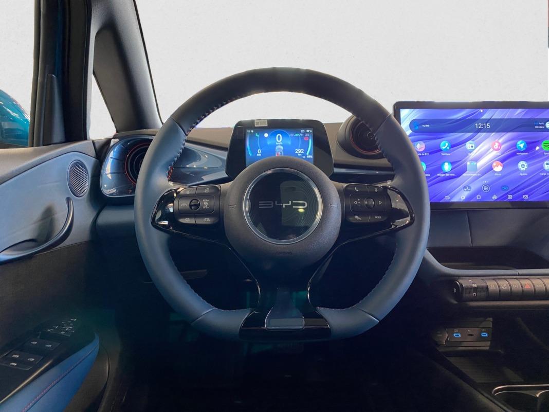 BYD Dolphin Design