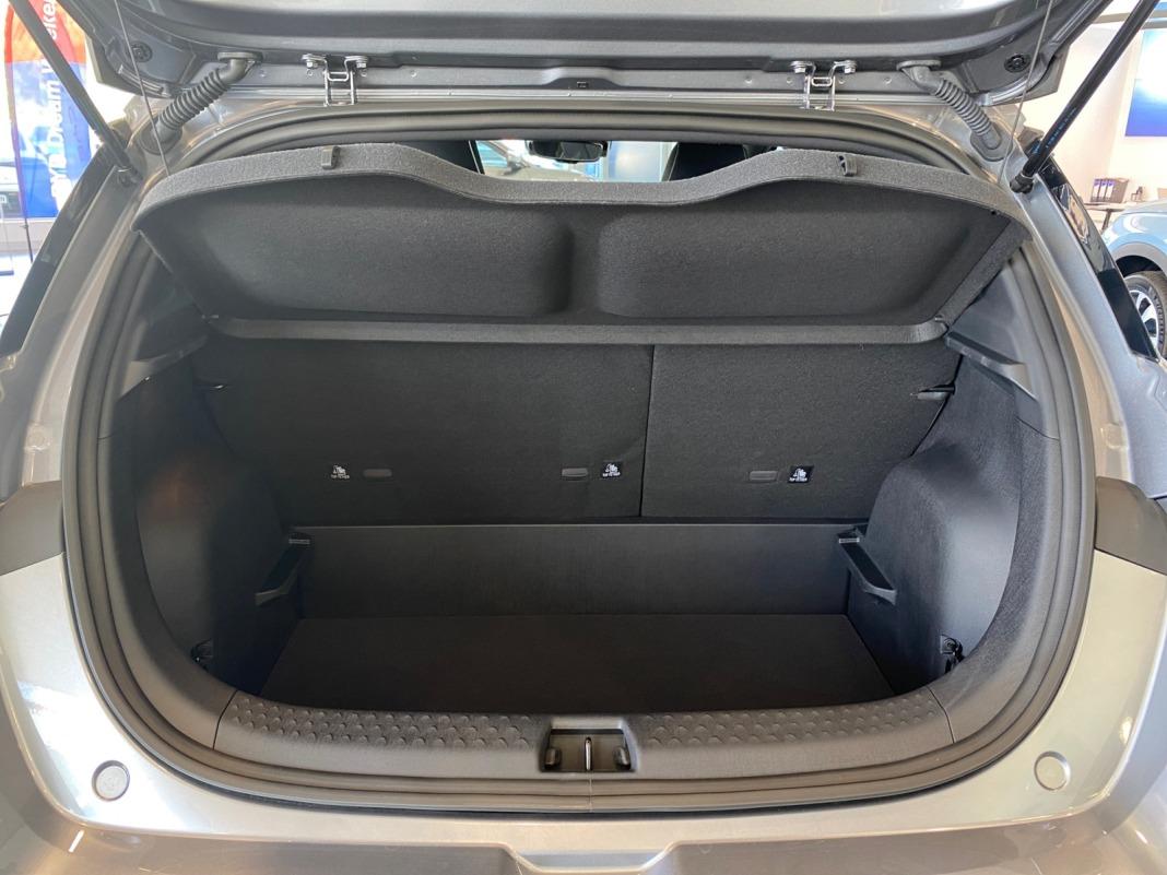BYD Dolphin Comfort
