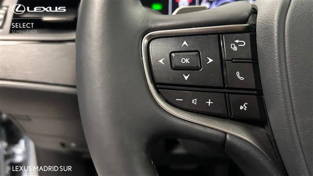 LEXUS Es Series ES 300h Premium