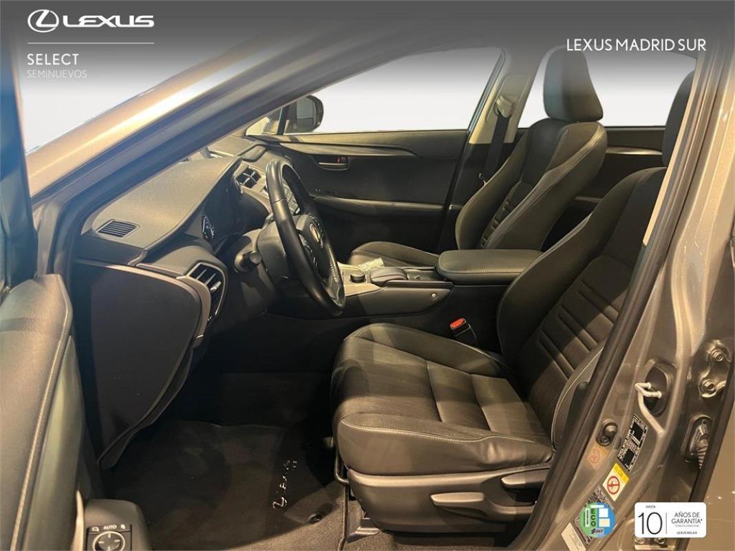LEXUS Nx SUV SPORT EDITION 2WD 2.5 Híbrido Gasolina (197CV)