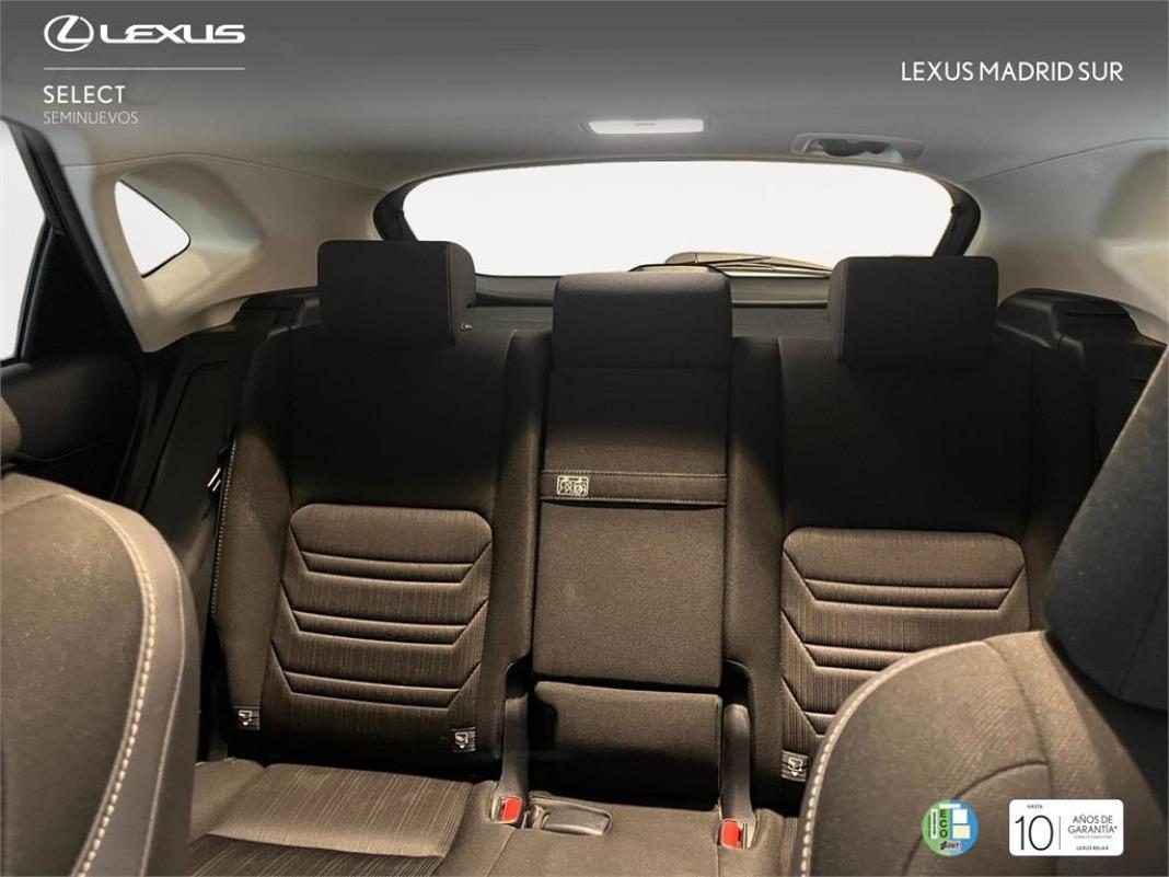 LEXUS Nx SUV SPORT EDITION 2WD 2.5 Híbrido Gasolina (197CV)