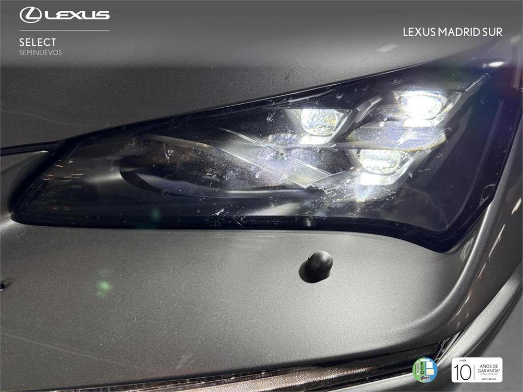 LEXUS Nx F SPORT PANORAMICO
