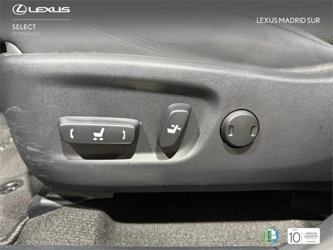 LEXUS Nx F SPORT PANORAMICO