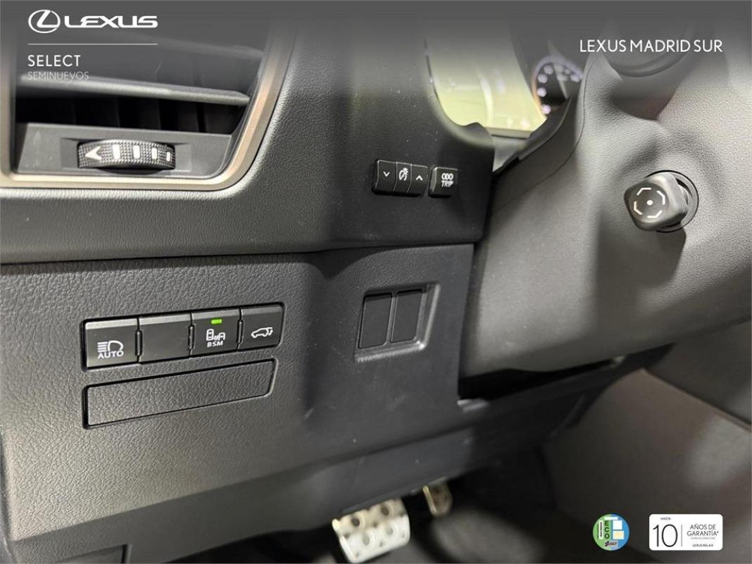 LEXUS Nx F SPORT PANORAMICO