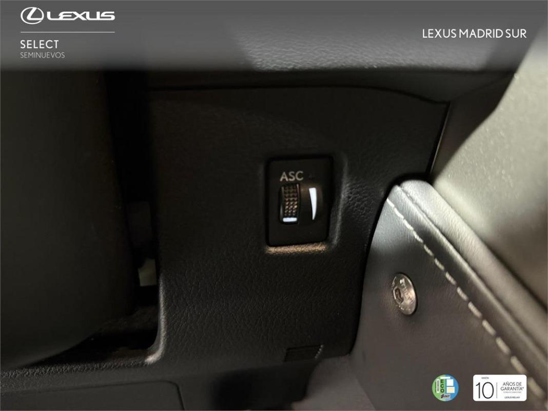 LEXUS Nx F SPORT PANORAMICO