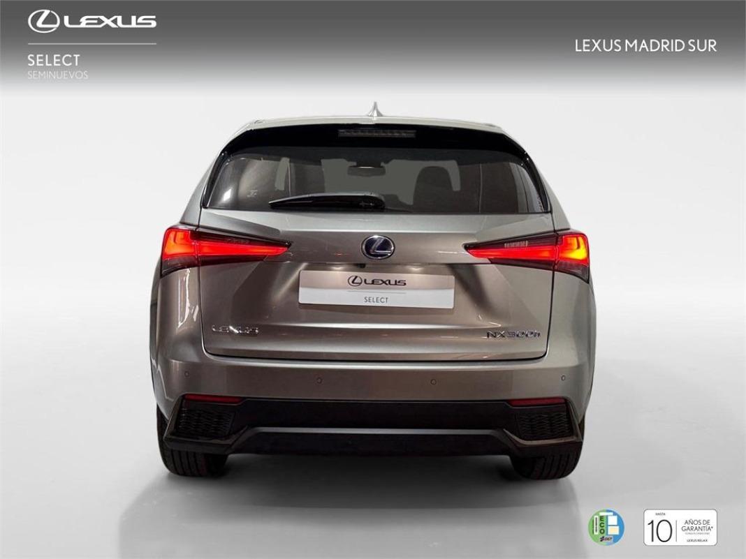 LEXUS Nx F SPORT PANORAMICO