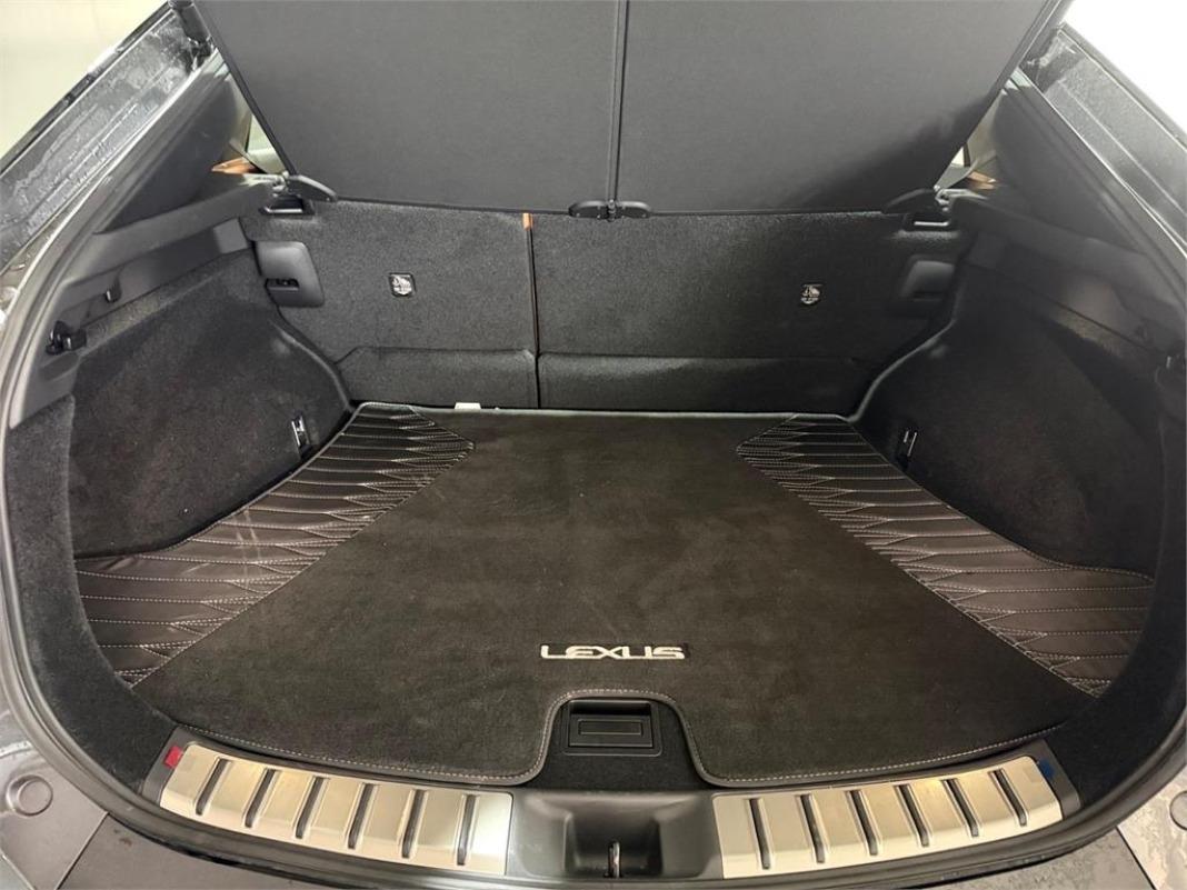 LEXUS Rz 300e e-Executive