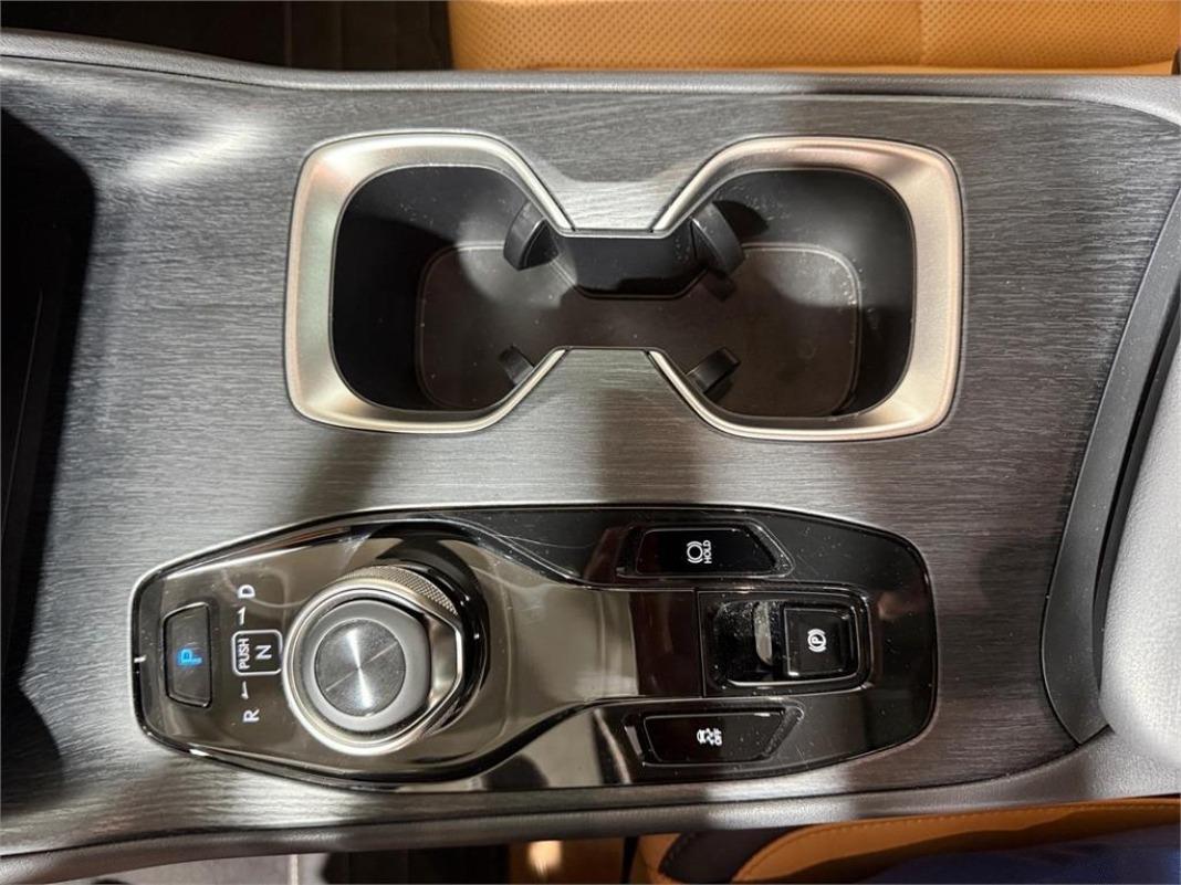 LEXUS Rz 300e e-Executive