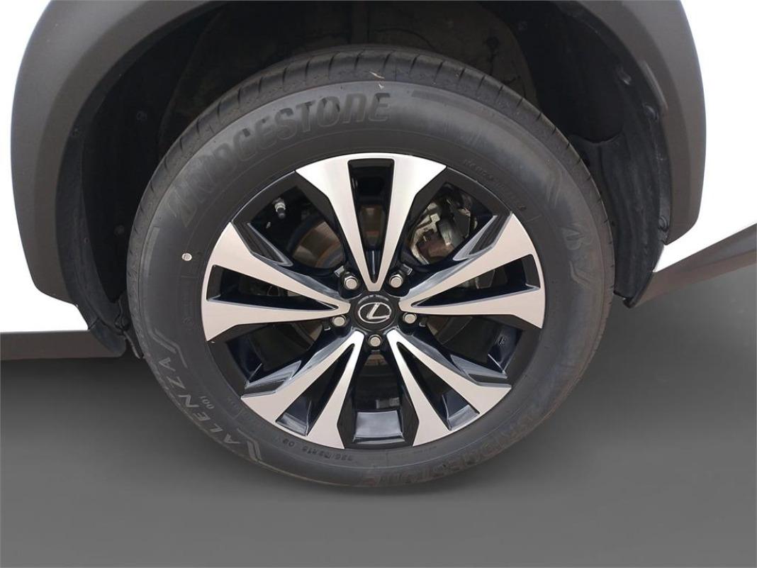 LEXUS Nx 300h F Sport 4WD Panorámico