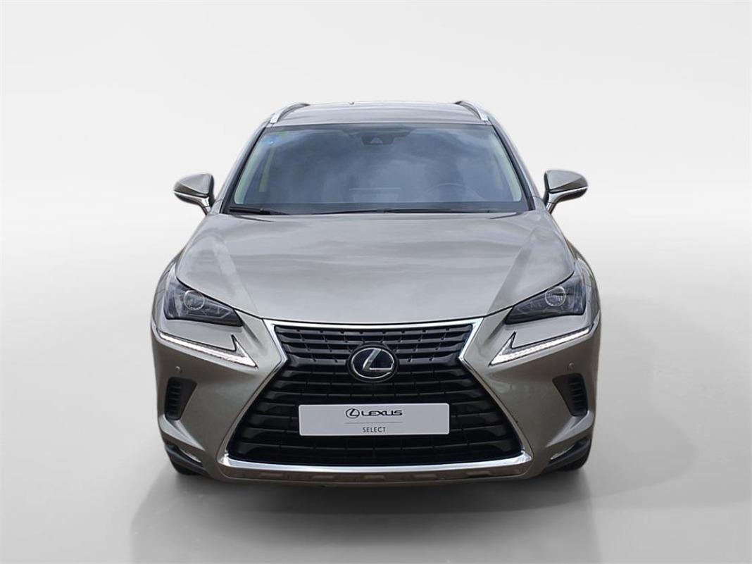 LEXUS Nx 300h Business Navigation 2WD