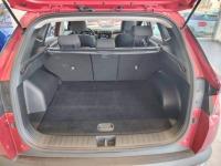 Hyundai Tucson 1.6 TGDI 169kW (230CV) HEV Maxx Auto