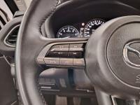 Mazda Cx-30 e-SKYACTIV-G 2.0 90 kW 2WD Evolution