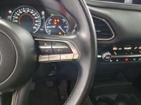 Mazda Cx-30 e-SKYACTIV-X 2.0 137kW Homura