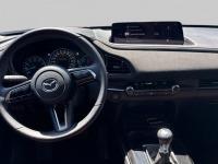 Mazda Cx-30 2.5L e-SKYACTIV G MHEV 103kW (140CV) 6MT FWD Nagisa