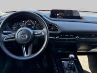 Mazda Cx-30 e-SKYACTIV-G 2.0 90 kW 2WD Evolution