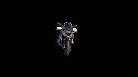 BMW Motorrad R 1250 Gs Adventure