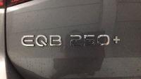 Mercedes Eqb 250+