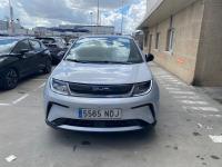 BYD Dolphin Design