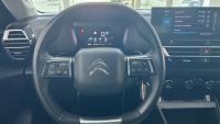 Citroen C4 BlueHDi 130 SANDS Feel Pack EAT8 96 kW (130 CV)